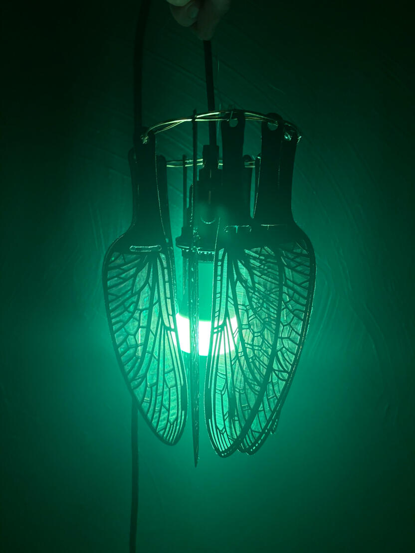 light concept