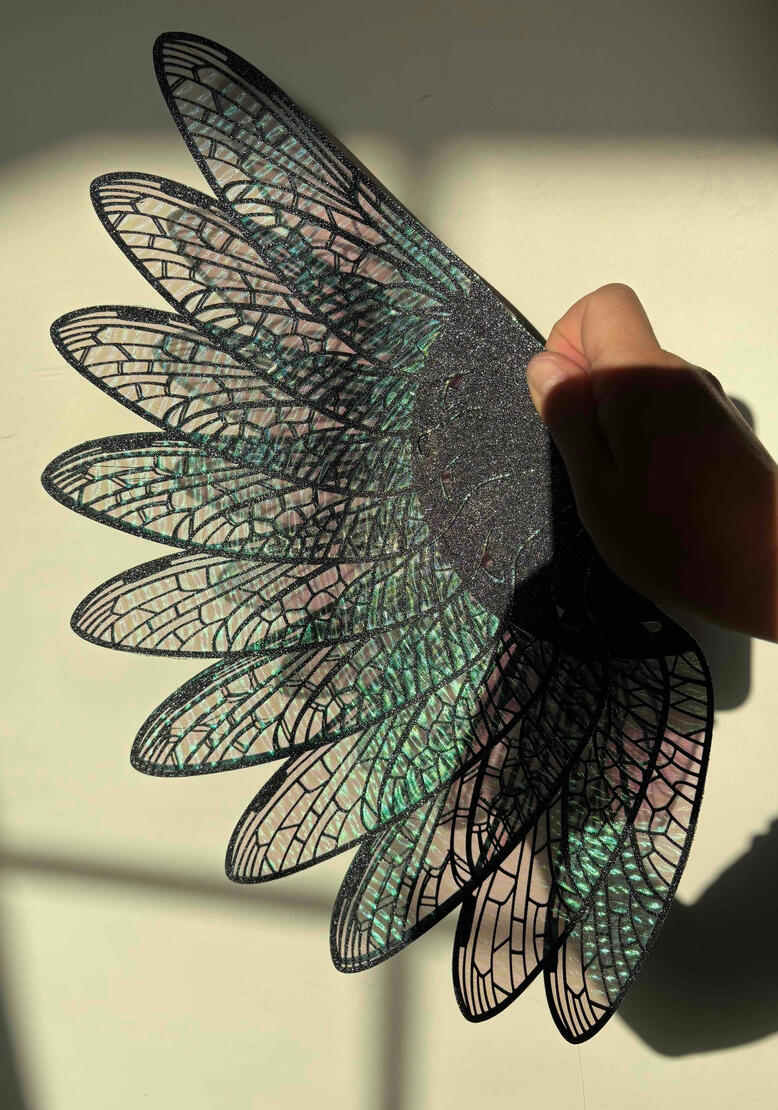 wings in sunlight